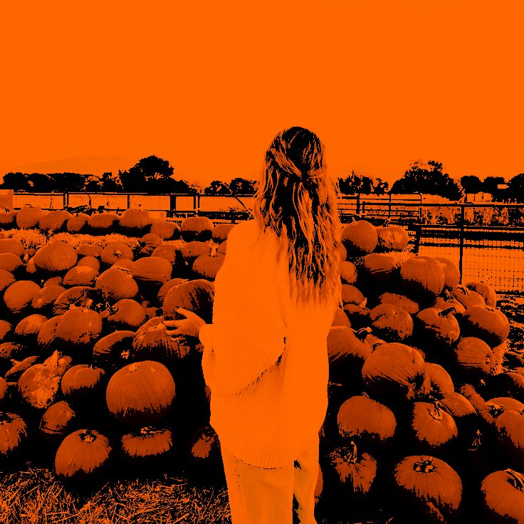 ⌗ M𑁤USE .ᐟ | ko-fi in bio .ᐟ tweet media