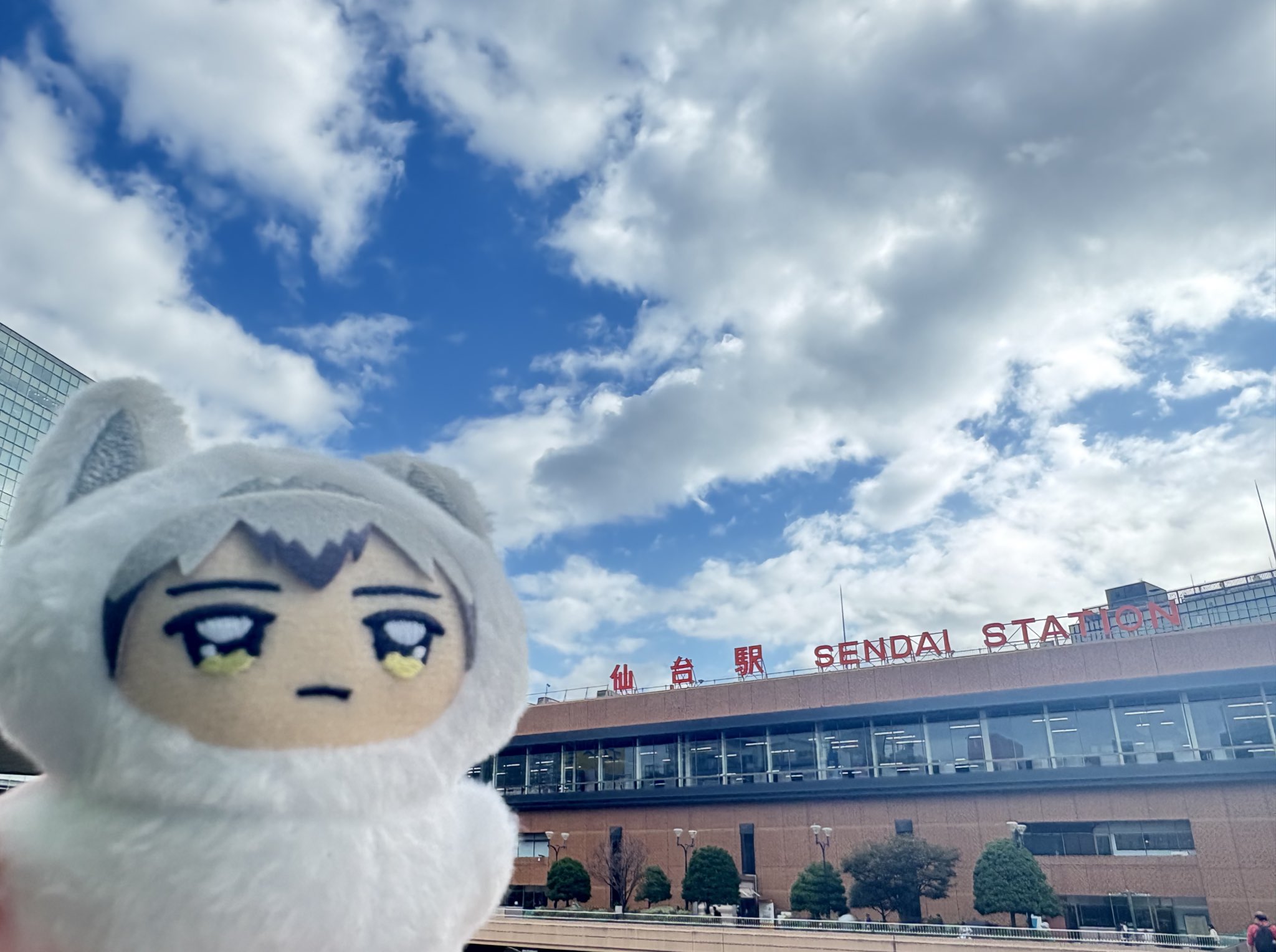 なつめページ 楽天市場】なつめ（ナツメ) 苗木 6号 (z03-3) : 千草園芸