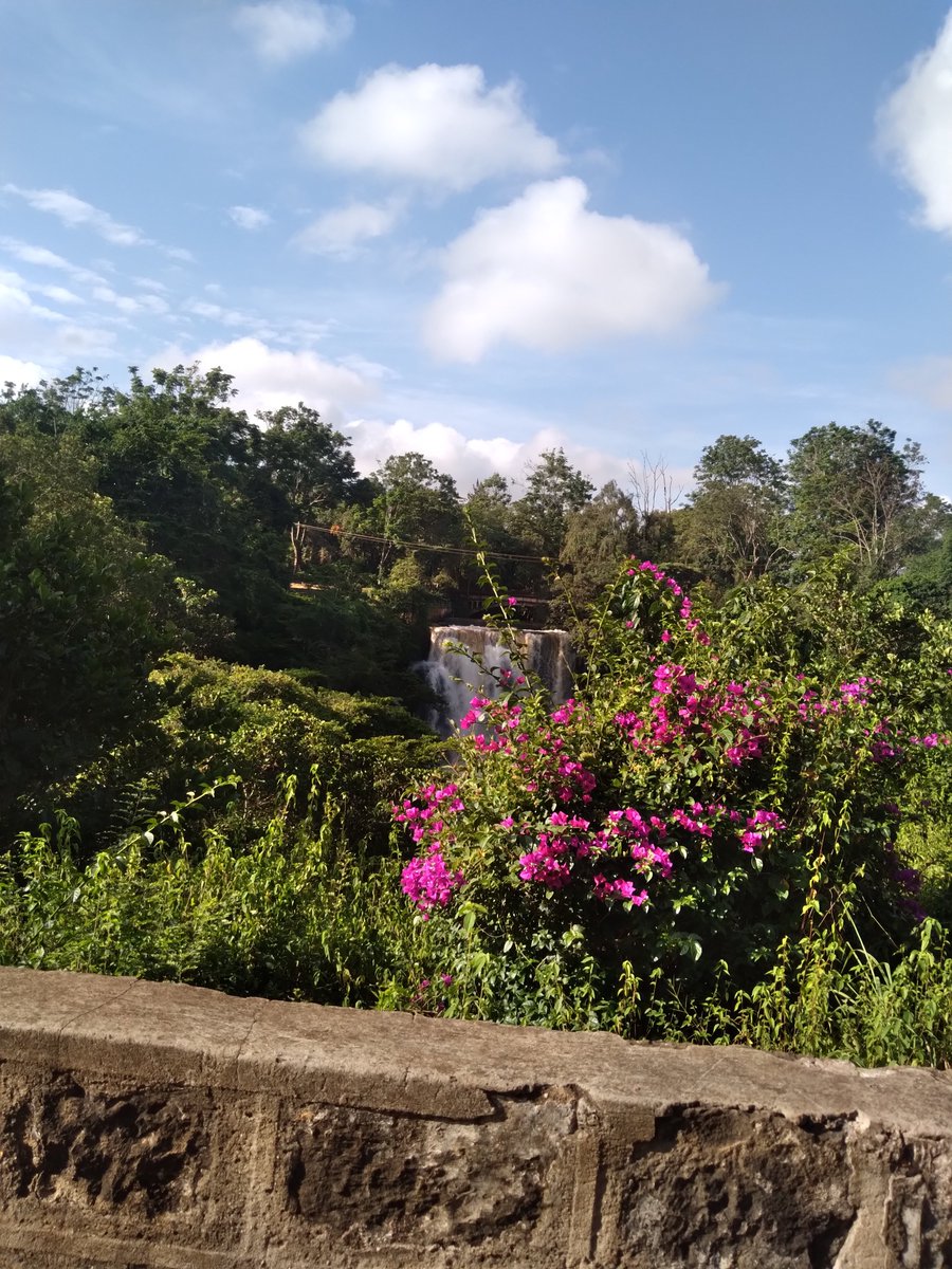 GeorgeAdon96301's tweet photo. Friends, may this day bring you great joy, enthusiasm, and peace. 🌞💫
Take a moment to breathe deeply, smile freely, and let gratitude light your path today. 💖
#PeacefulHeart #JoyfulDay #PositiveEnergy #BlessedMorning #Gratitude #Happiness #Friends #Inspiration #Motivation https://t.co/kmeyhmqGJU
