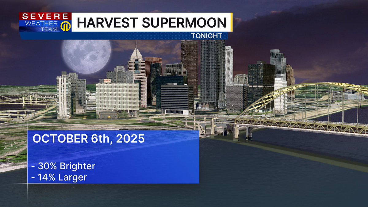 Stephanie Allison tweet media