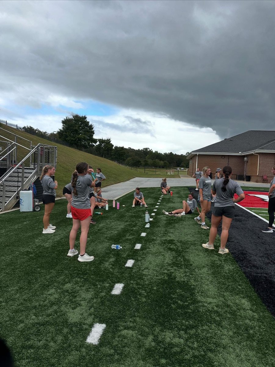 NGU Softball tweet media