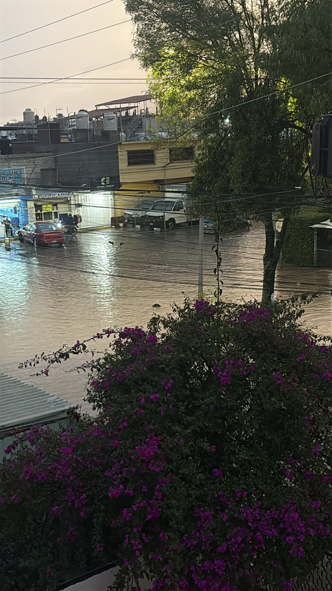 betyrodrey's tweet photo. @911Puebla calle inundada en 107 poniente y 3 sur Loma bella 
Ya los vecinos abrieron coladeras pero ni aún así se va el agua https://t.co/YsLCxO0SSS