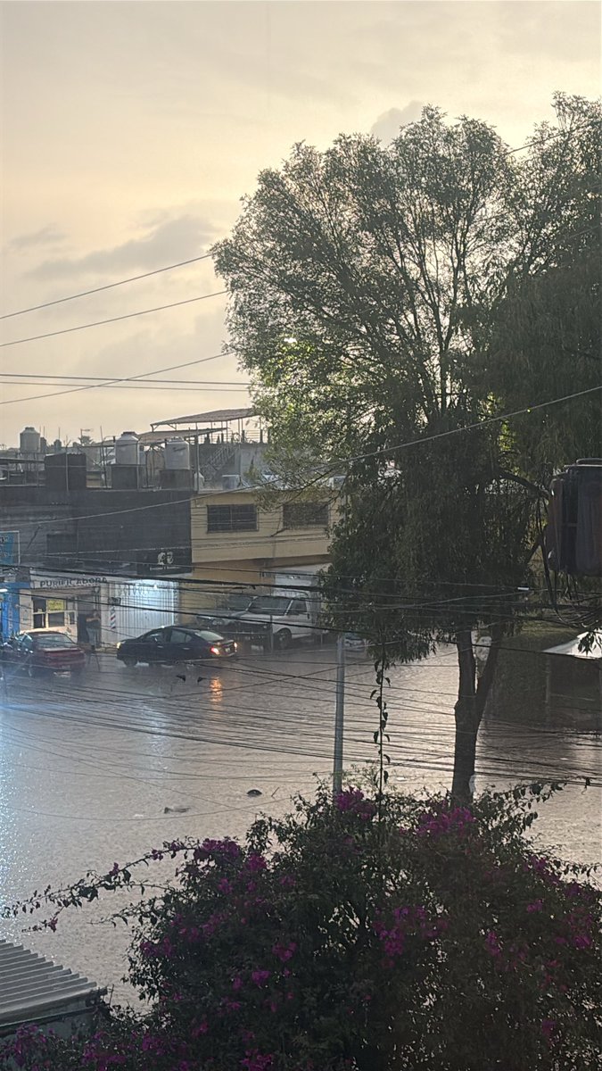 betyrodrey's tweet photo. @911Puebla calle inundada en 107 poniente y 3 sur Loma bella 
Ya los vecinos abrieron coladeras pero ni aún así se va el agua https://t.co/YsLCxO0SSS
