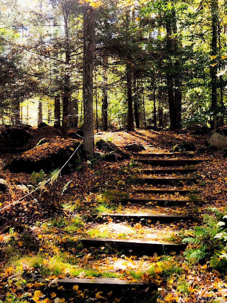 Olive🫒 tweet media