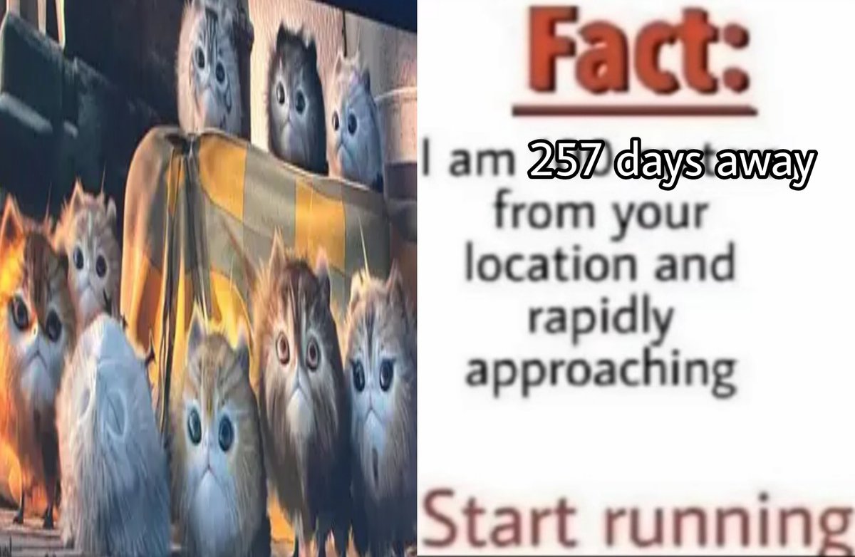 Shark 🌙ANDOR era FOREVER🌙 (@sharkonscarif) on Twitter photo 