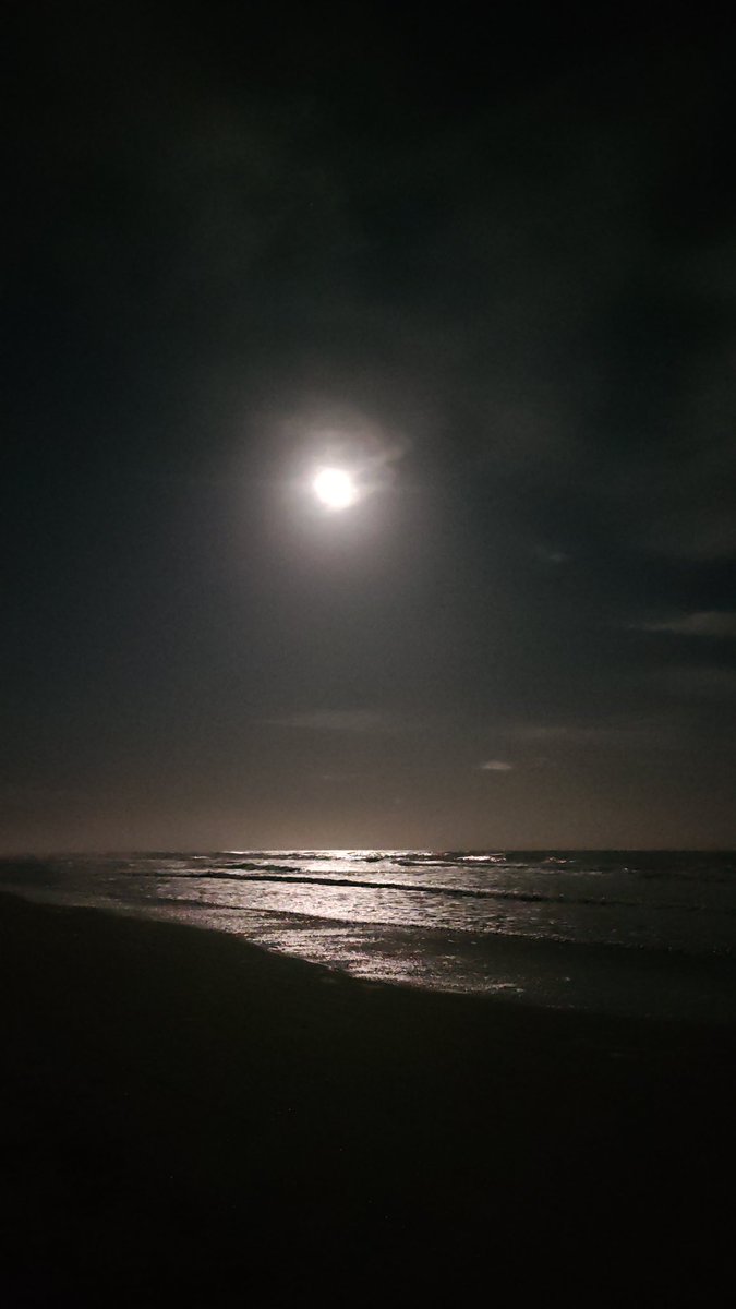 roxybavaro's tweet image. Au vivo.. Costa argentina.. #LunarEclipse #LunaLlena.