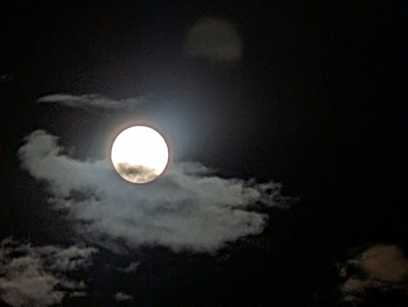 JSax86's tweet image. 