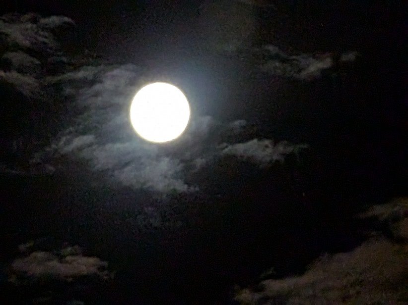 JSax86's tweet image. 