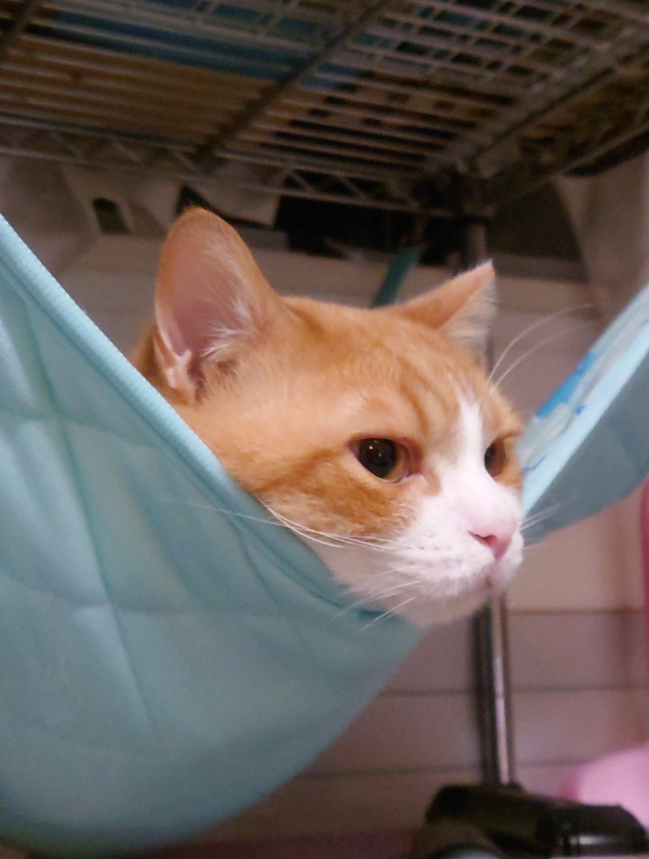 おちゃまるページ おちゃまる (@ochamarusan0126) • Instagram photos and videos