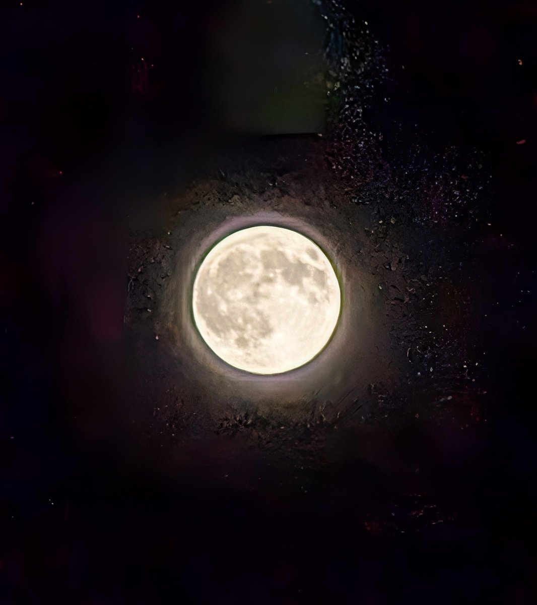 Tonight's harvest moon, here in northern Ohio. 🌕 Glorious.