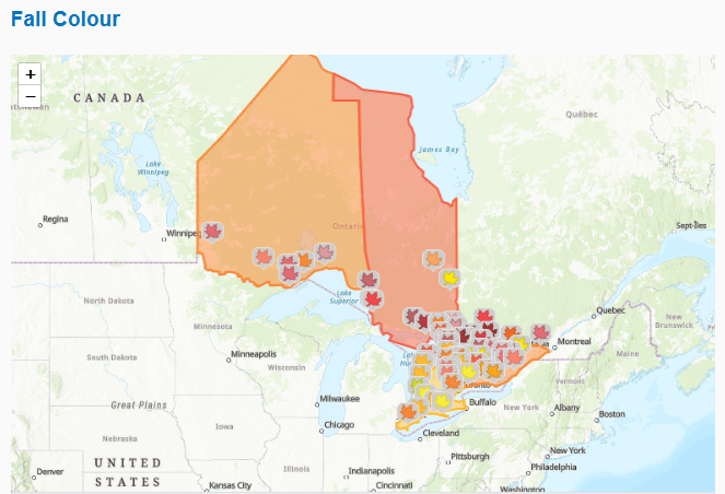 G2niATSW0AAboHA?format=png&name=small
