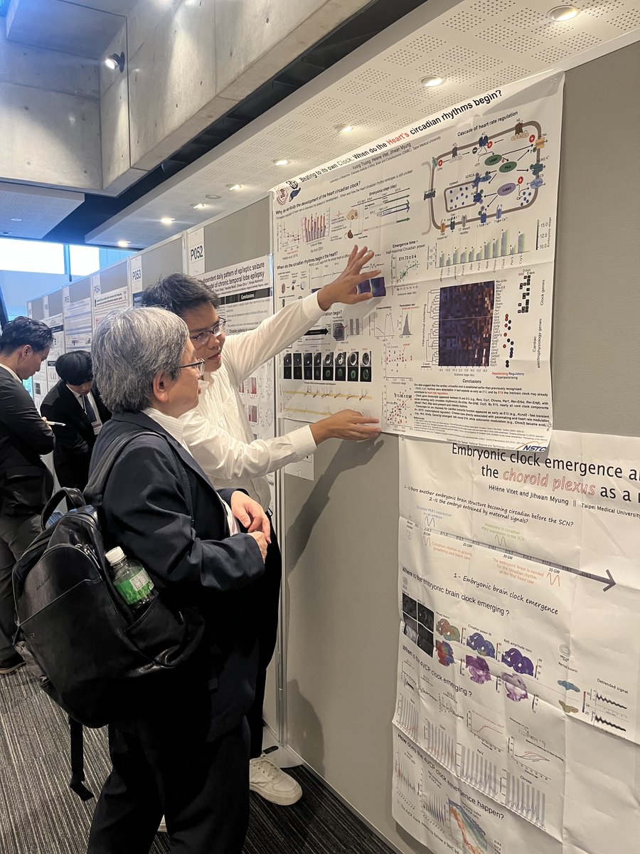 Braintime Lab tweet media
