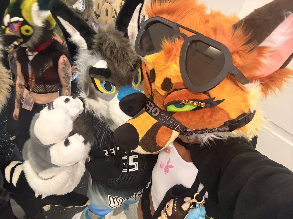 miatassme ‼️ tweet media