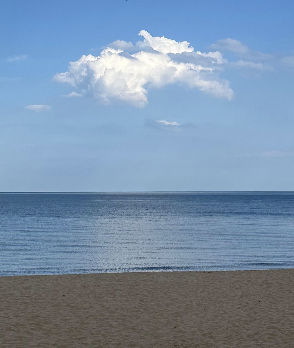 I see a bird, actually two