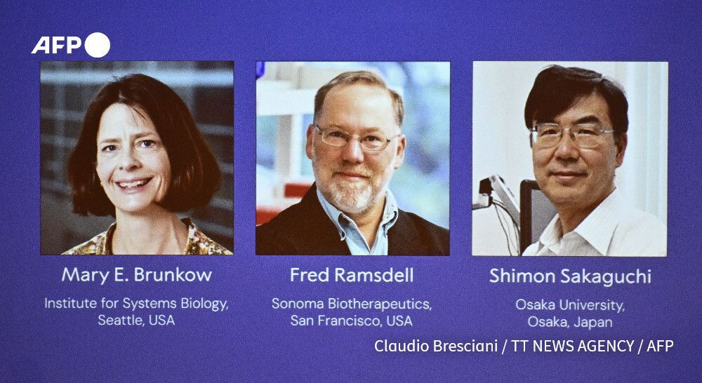 AFP's tweet image. One of this year&apos;s Nobel winners might not know he has won.

Fred Ramsdell was among those honored Monday with a 2025 Nobel Prize in Medicine, but he&apos;s currently &quot;living his best life&quot; on an &quot;off the grid&quot; hiking foray and it appears no one can contact him…