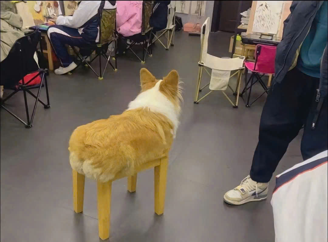 Thinkwert tweet media