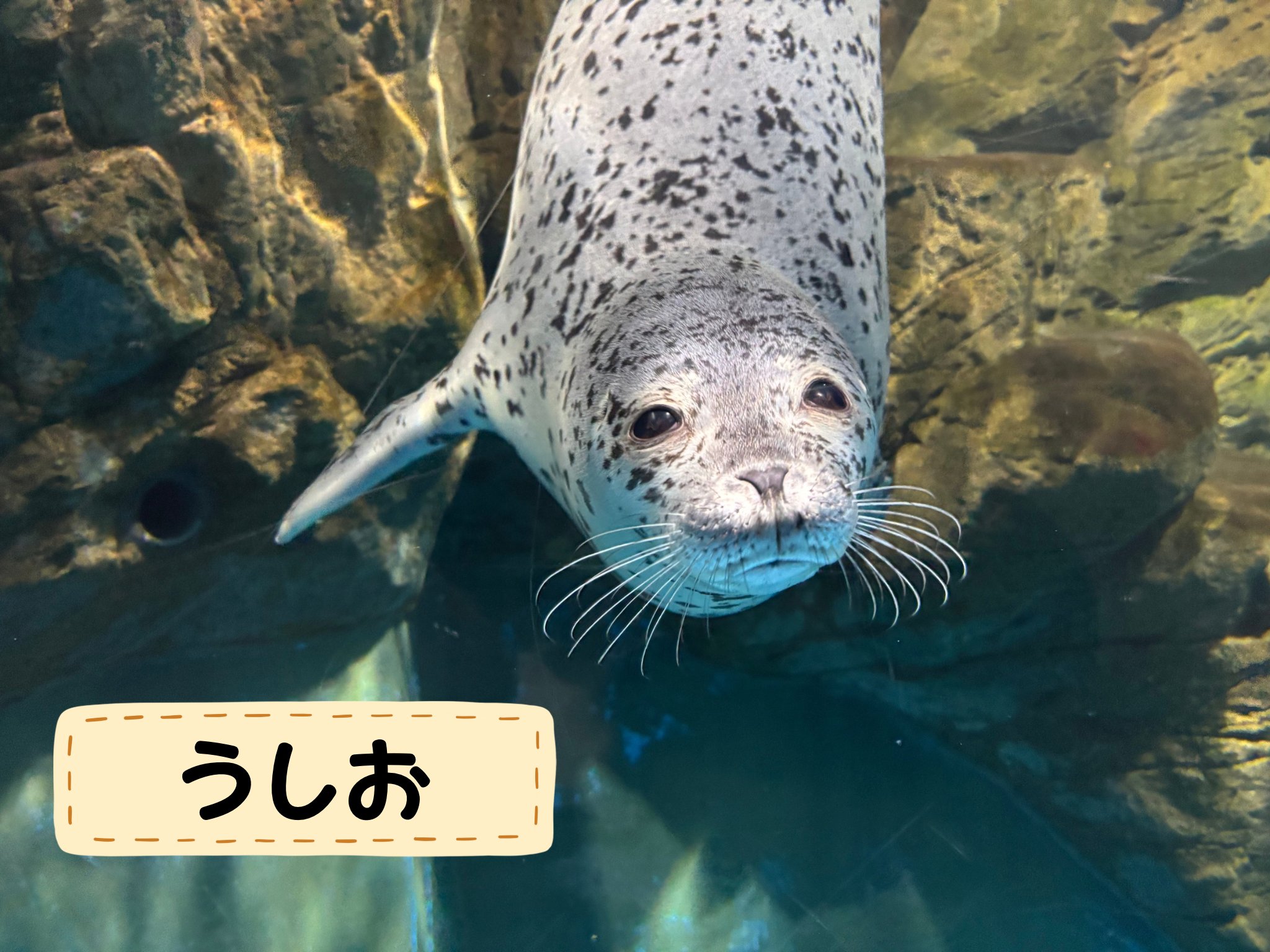 号 (@gogo___xo) / X