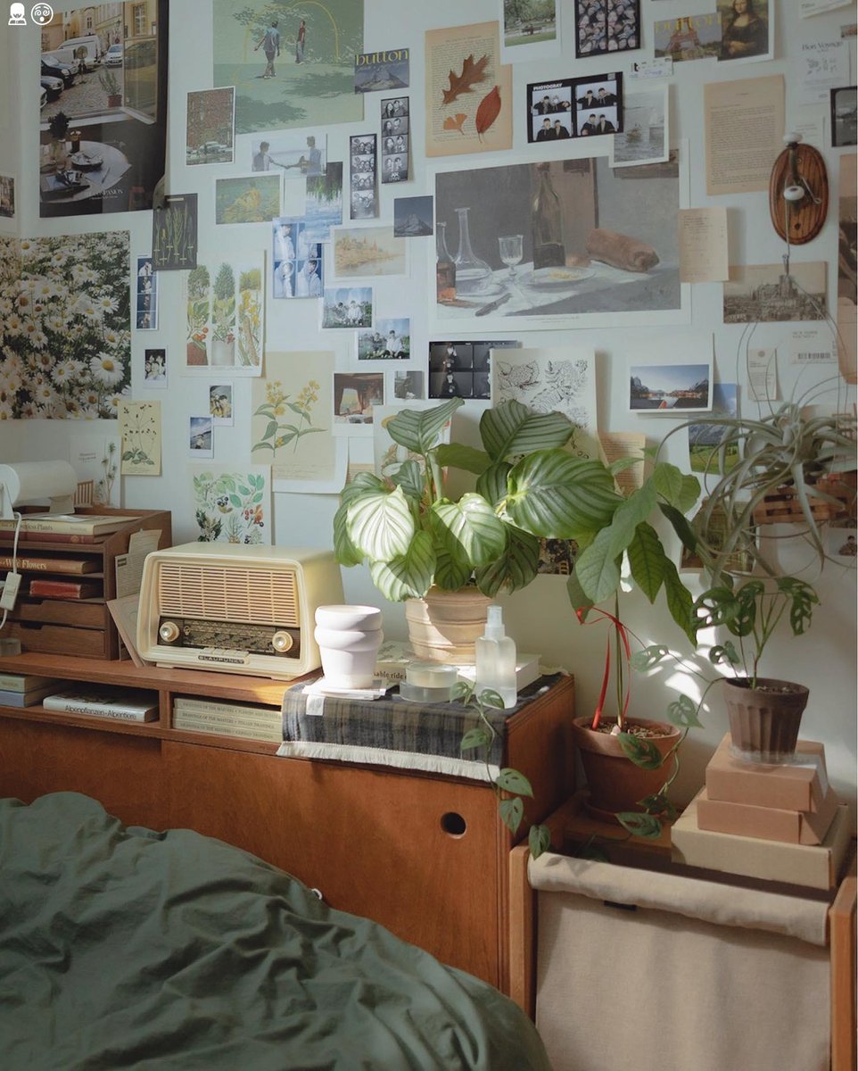 Chances embrace pure dreams apart connect days outside🚶🏒🥿💠39355