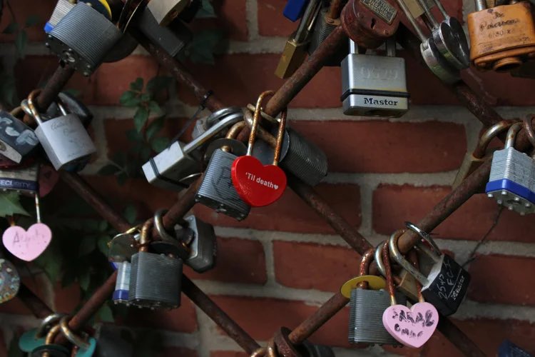 Coaching Detroit Forward tweet media