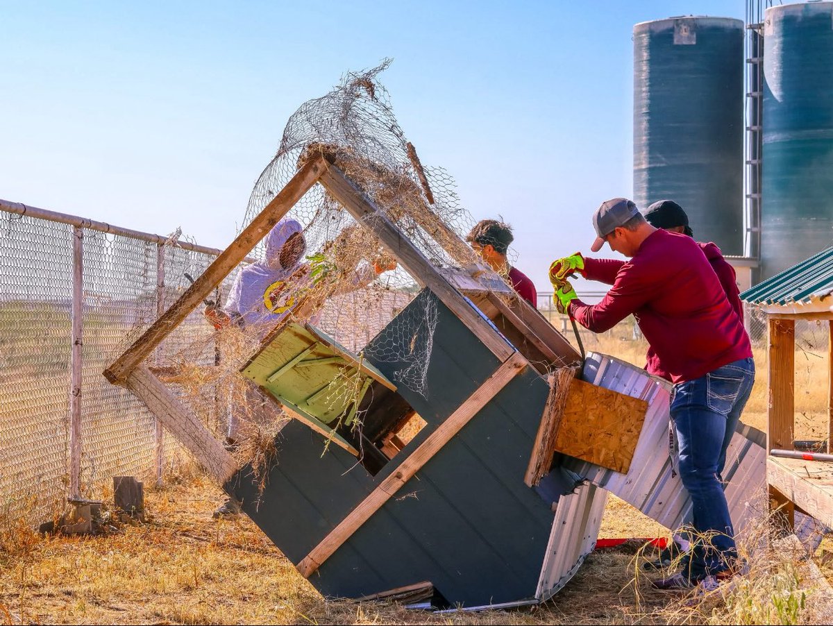 LHS Rebel Hoops tweet media