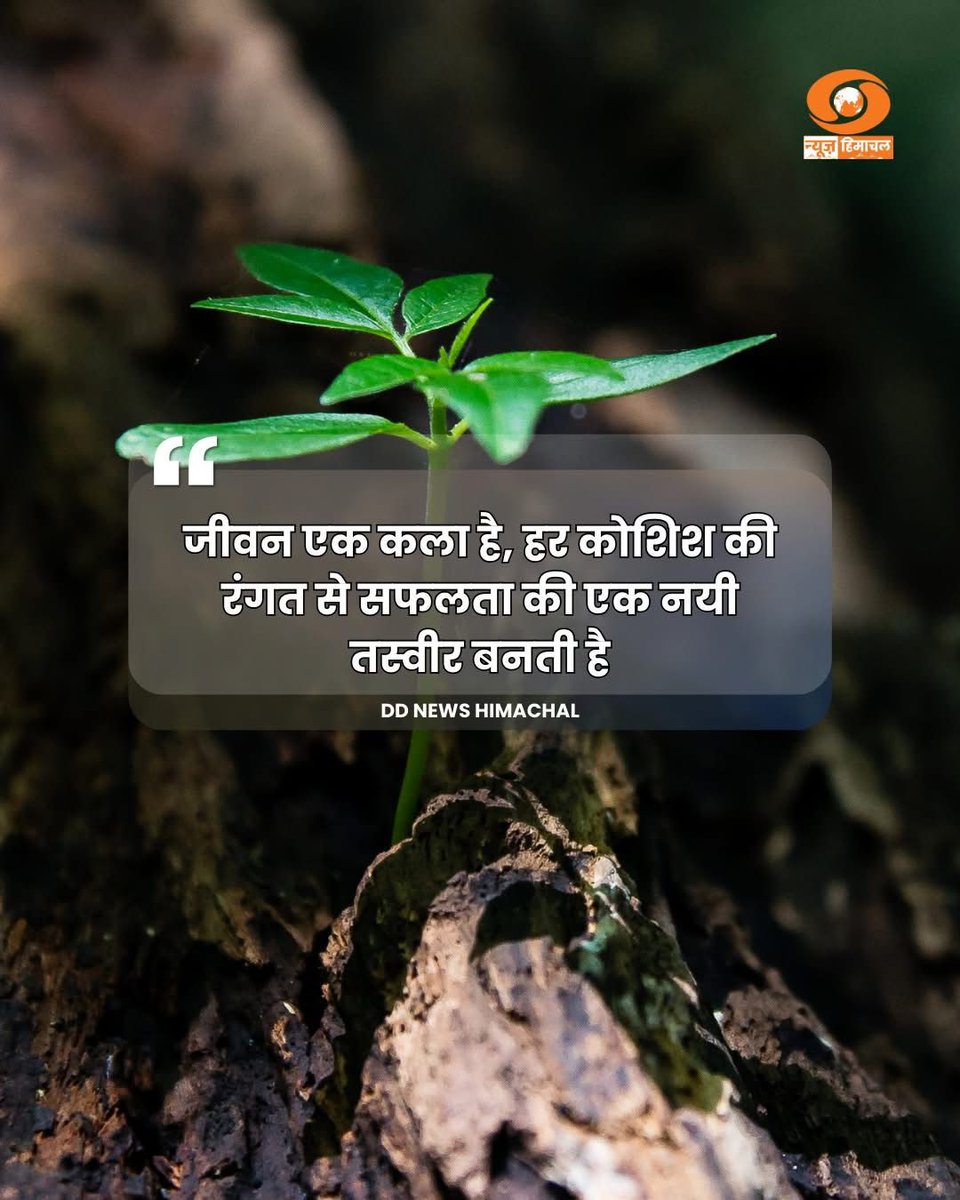 DDNewsHimachal's tweet image. आज का सुविचार।

#positivequotes #todaysthought #motivationalquotes