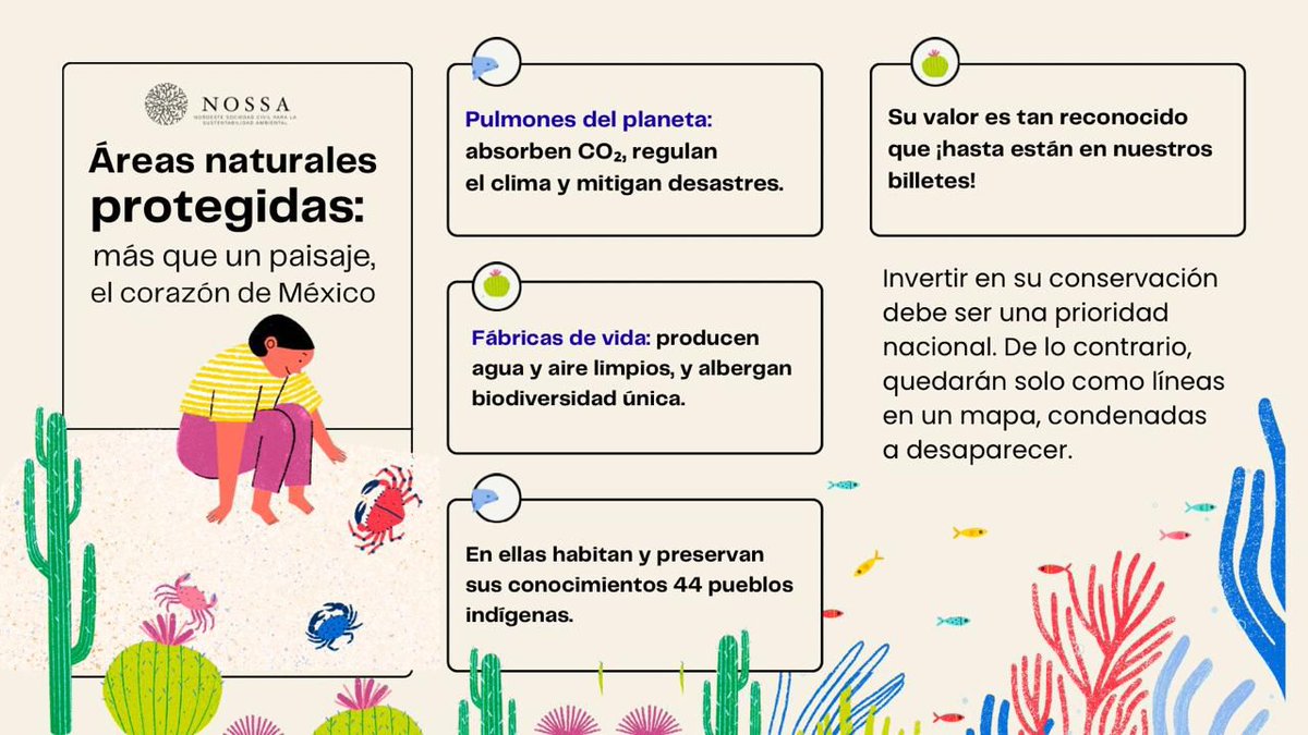 nossa_mexico's tweet photo. 🖐️Tenemos que hablar de las áreas naturales protegidas, de su presupuesto y la importancia de #CuidarloqueImporta.

La biodiversidad está en riesgo. Un presupuesto digno es una inversión estratégica para el futuro y el bienestar de la población en México https://t.co/ghfSC7MiEL