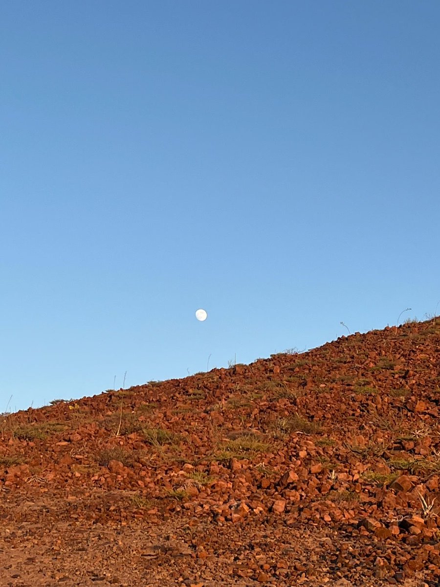 Eduardo Fentanes tweet media