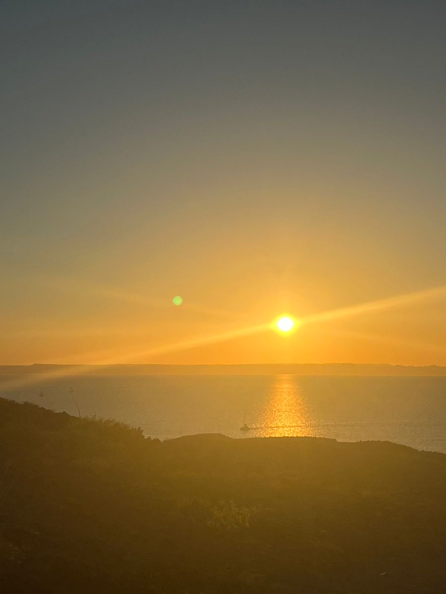 Eduardo Fentanes tweet media