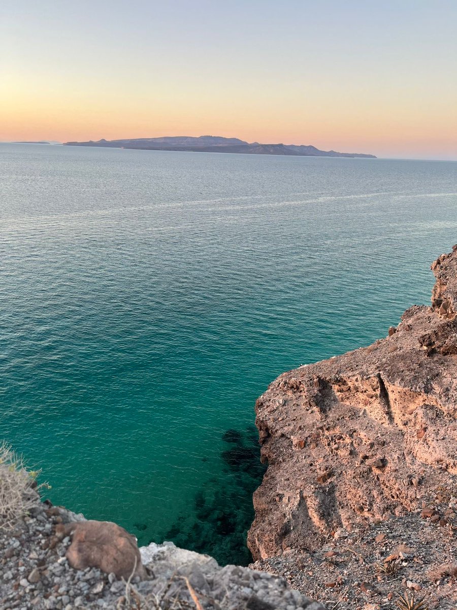 Eduardo Fentanes tweet media