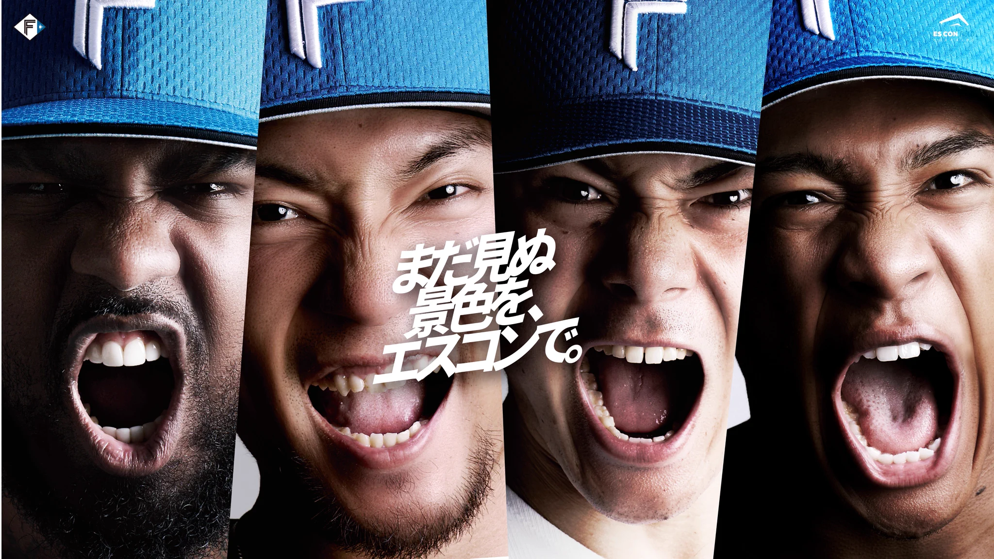 北海道日本ハムファイターズ公式 on X: 
