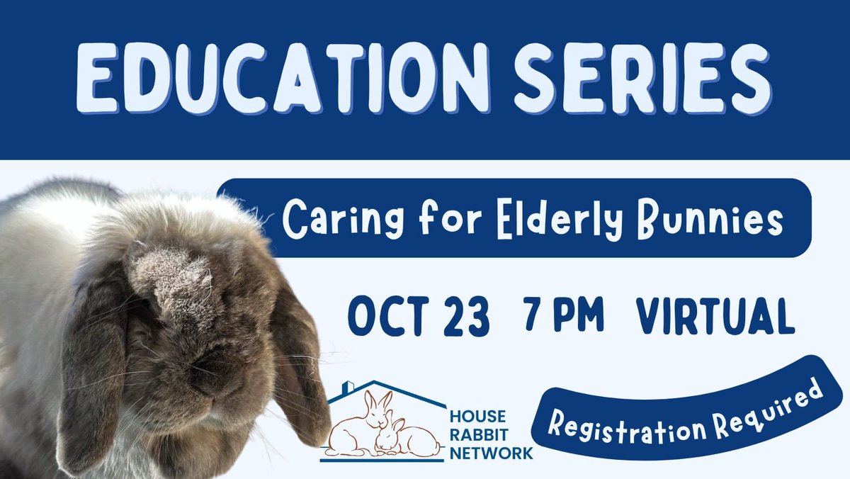 RabbitNetwork's tweet image. On October 23rd, at 7PM ET, we&apos;ll be hosting a virtual webinar on caring for elderly #bunnies. 🐰 We&apos;ll cover caring for age-related disabilities, best practices to keep them healthy, common illnesses, and managing loss. 🤍 Register here: zeffy.com/en-US/ticketin… #webinar