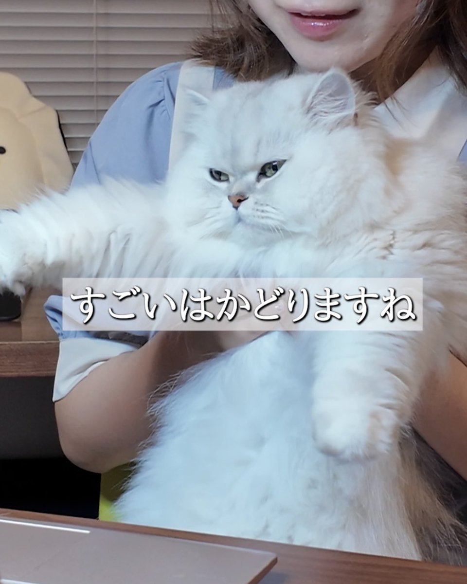 🐴お知らせ🐴
ショートドラマ「すすめ！流鏑馬エンジェルス」のナレーション、イラスト等を担当させていただきました✨こちらはTikTokにもアップしていただいている作業動画🎥
公式TikTokぜひチェックしてくださいね〜！⤵️
tiktok.com/@yabusame0809