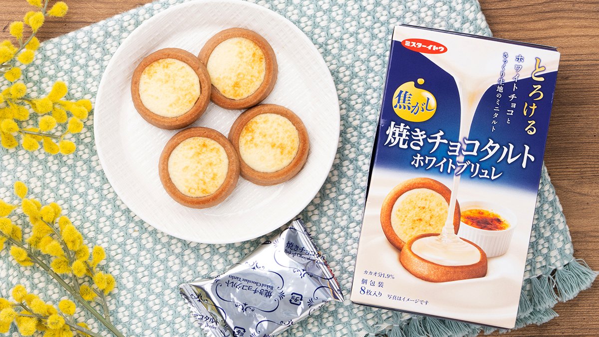 イトウ製菓 焼きチョコタルト ホワイトブリュレ 8枚（個包装） 40コ