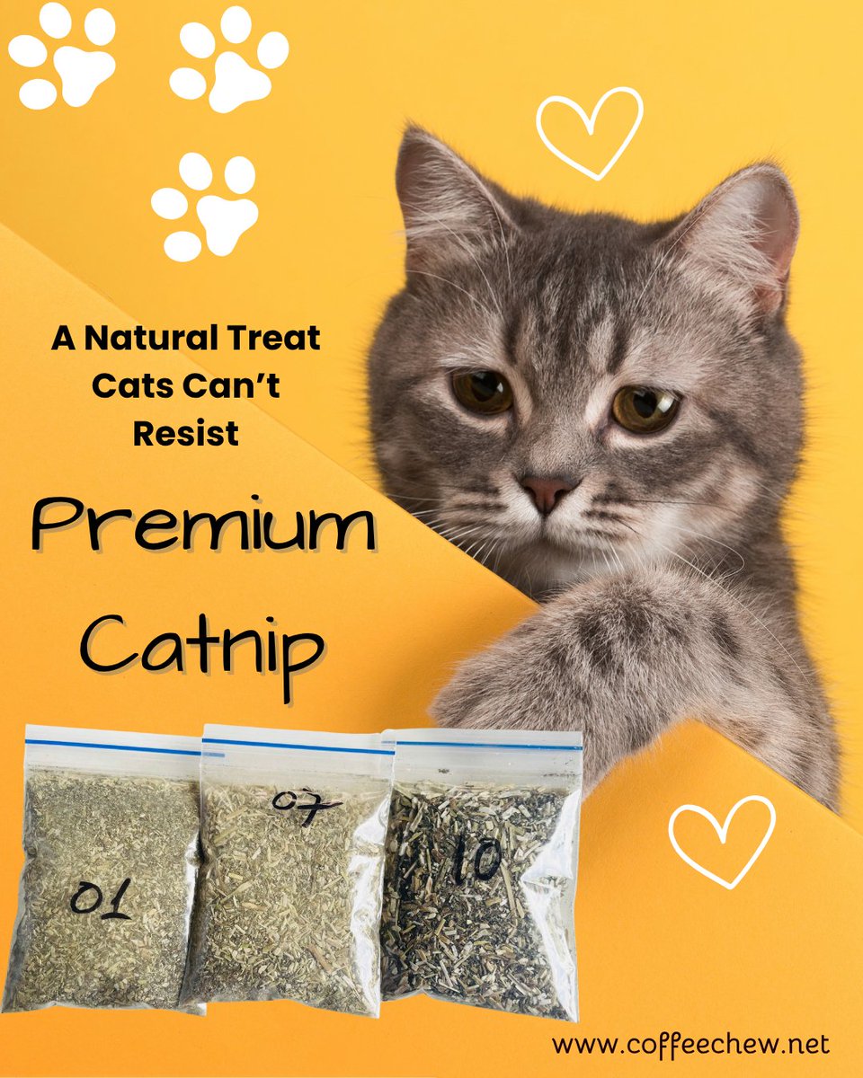 coffeechewHL's tweet image. 😻 𝐖𝐡𝐲 𝐂𝐚𝐭𝐬 𝐋𝐨𝐯𝐞 𝐈𝐭
Catnip releases a scent that triggers playful behavior and relaxation in most cats. Whether sprinkled on scratching boards, toys, or bedding, it instantly turns ordinary moments into joyful playtime.
#CatnipForCats #NaturalCatnip #OrganicCatnip