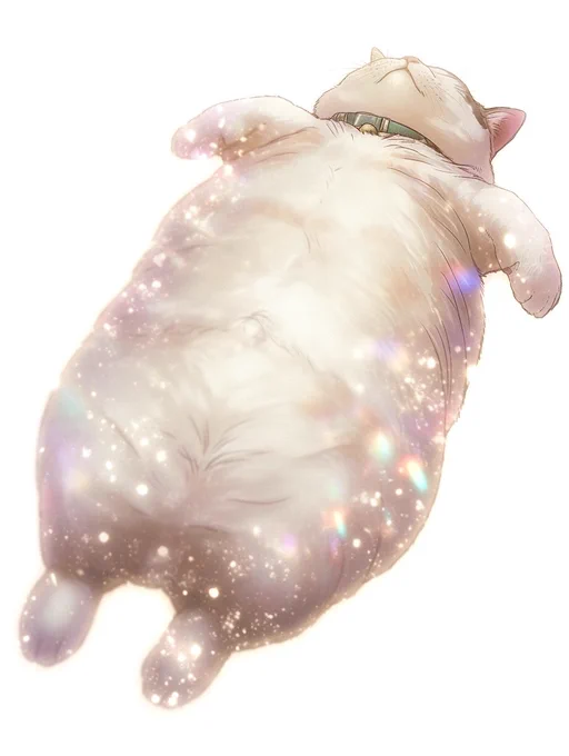 猫が寝転んだ