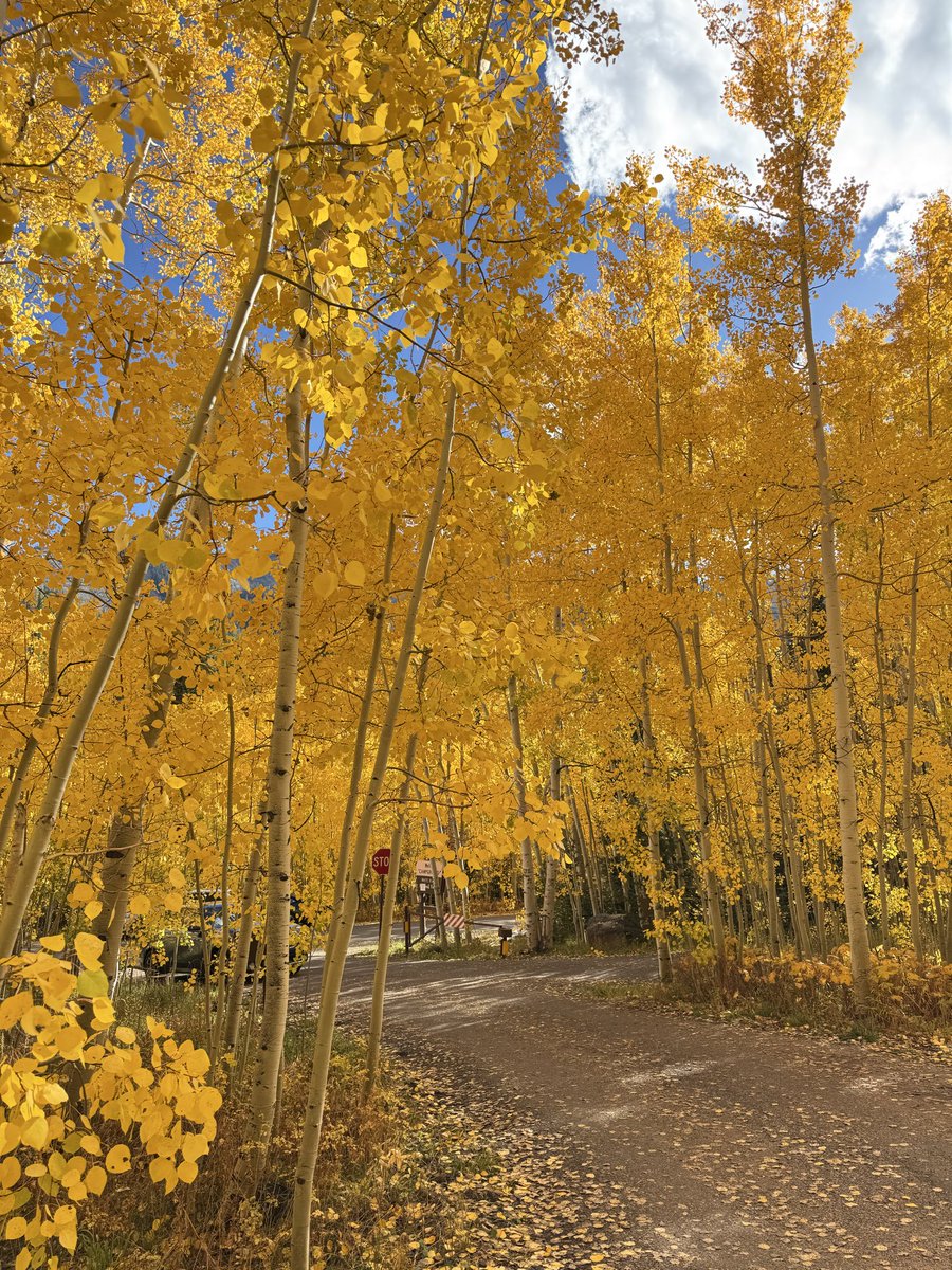 Bazinga🦋 (@bazinga419) on Twitter photo 