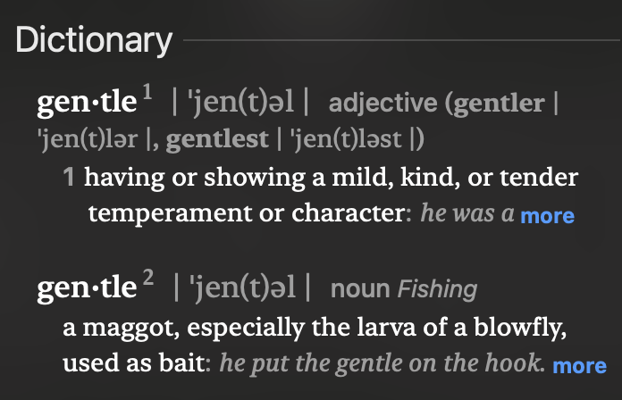 If someone calls you gentle, be sure to specify if they mean the adjective or the noun. 

#English #AuthorLife #Language