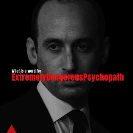 windsors20's tweet image. Coming from the guy who has no right to be in our government and is taking advantage of the president’s dementia and manipulating him by using the president’s power to achieve his fascist Reincarnation of Hitler dream to make the United States a fascist regime.  
#RemoveMiller