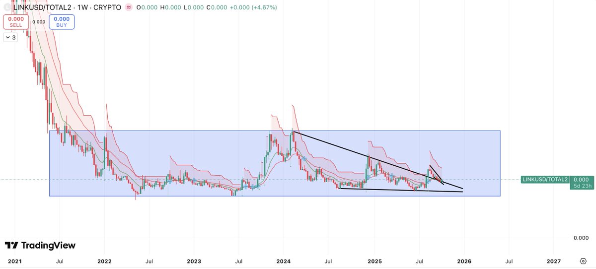 Lynch🐇 tweet media