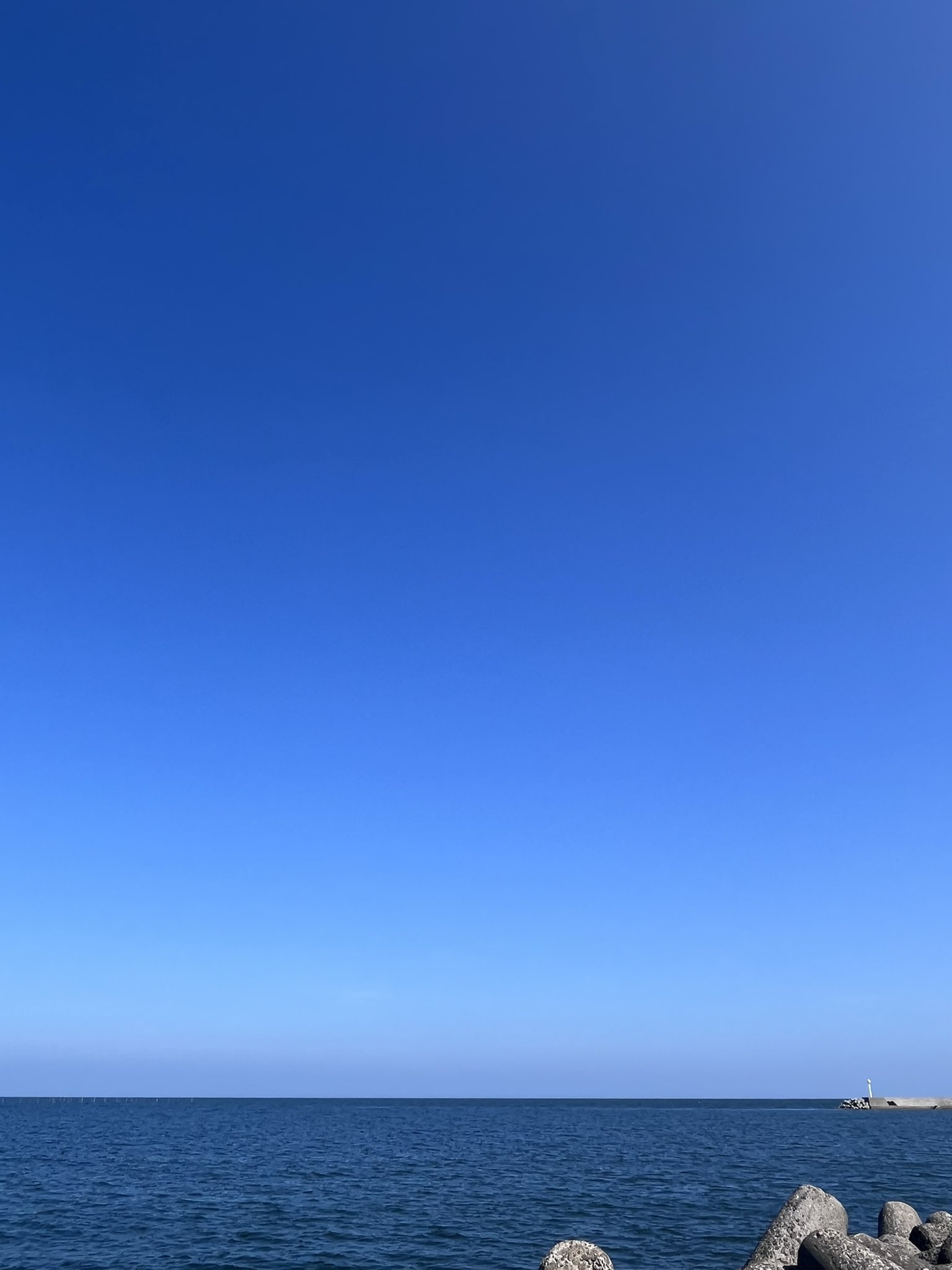 HACHABEE（ハチャベー） on X: 