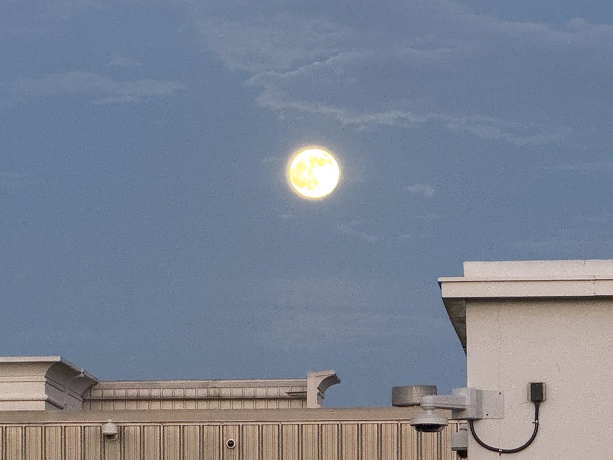 Erica Simon tweet media