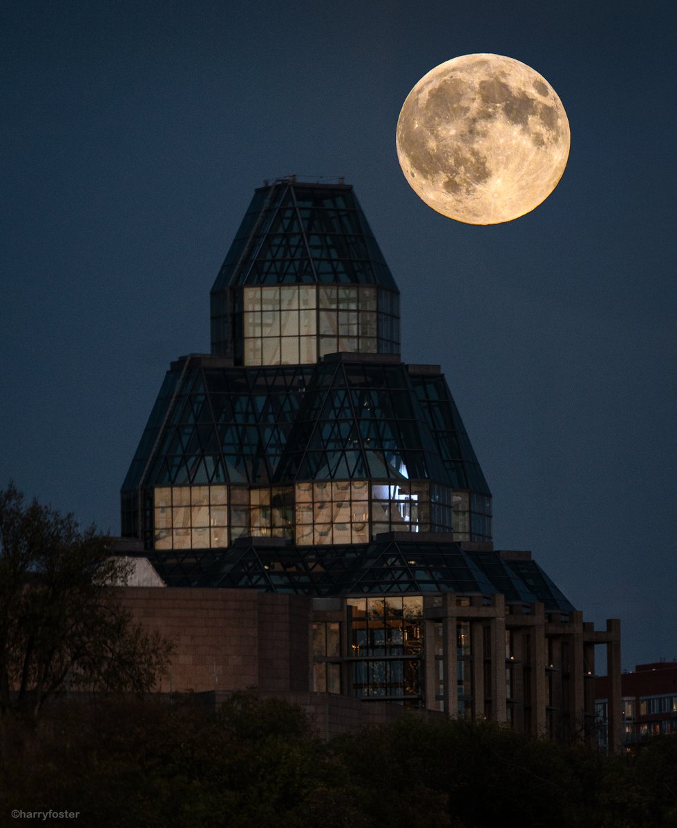 Harry Foster tweet media