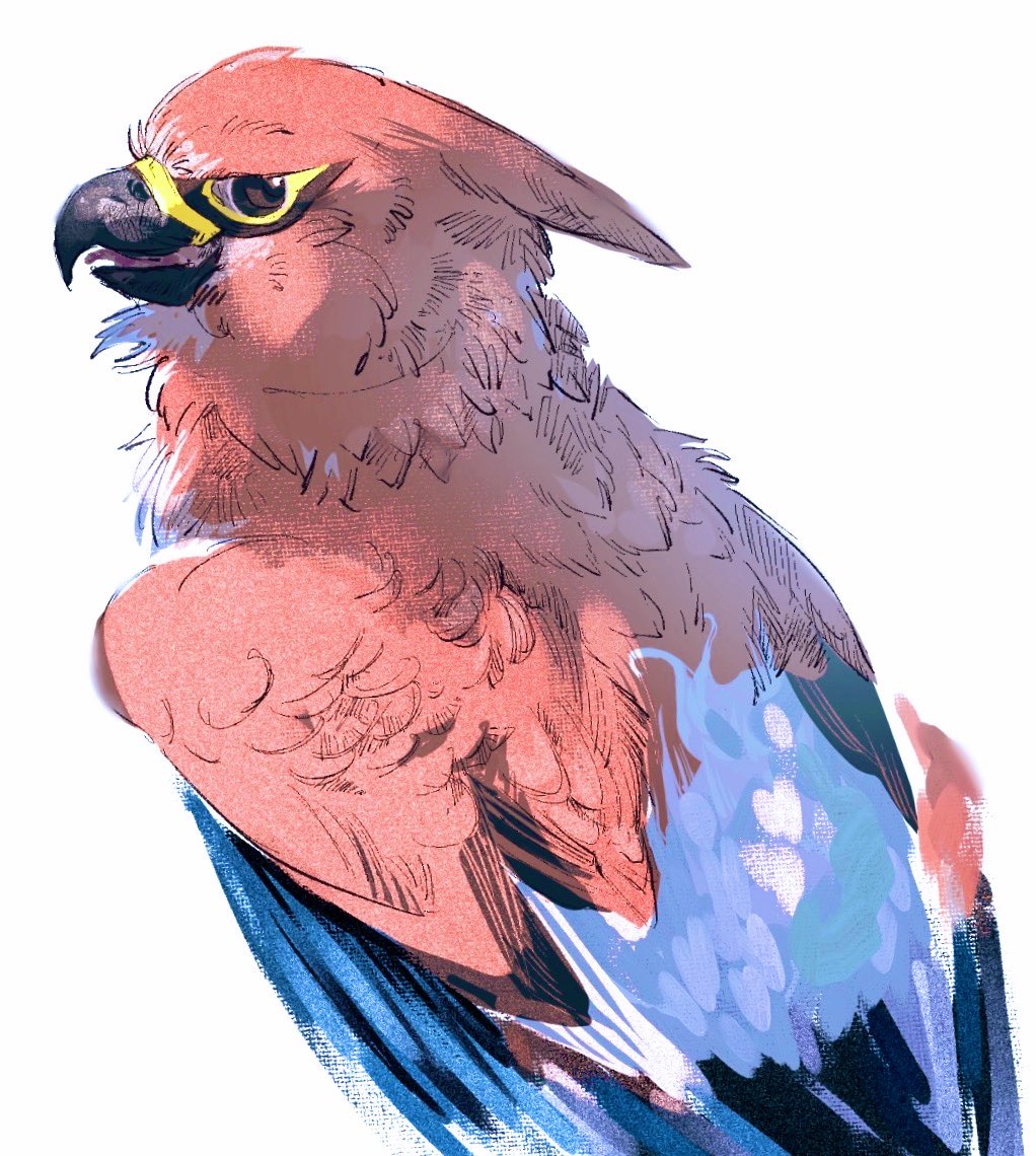 skpn_skrzk's tweet image. zaでもお世話になるよ