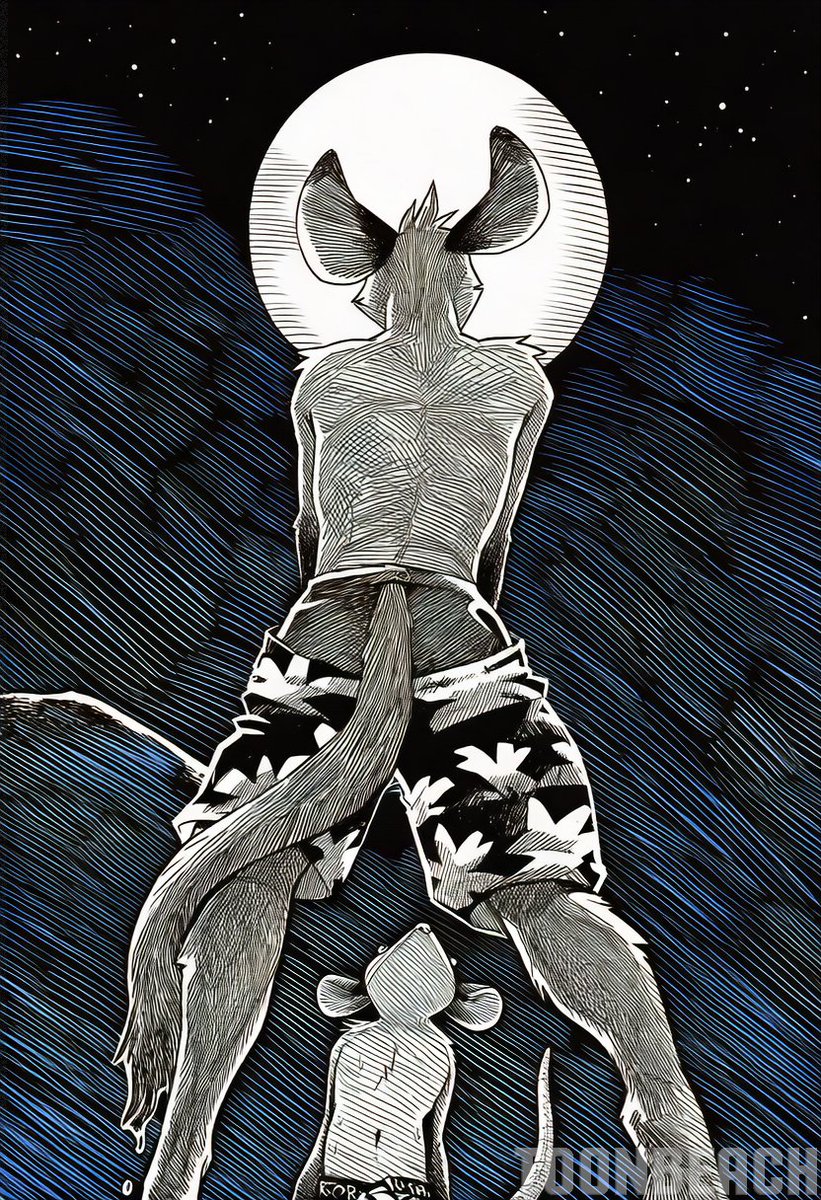 TOONBEACH's tweet photo. Possum Bois play at Night~ https://t.co/J8hOsZjKhg