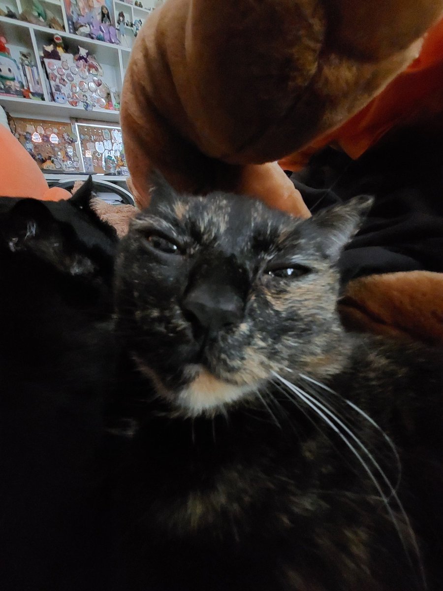 chewbers's tweet image. she is an alien or perhaps a bug