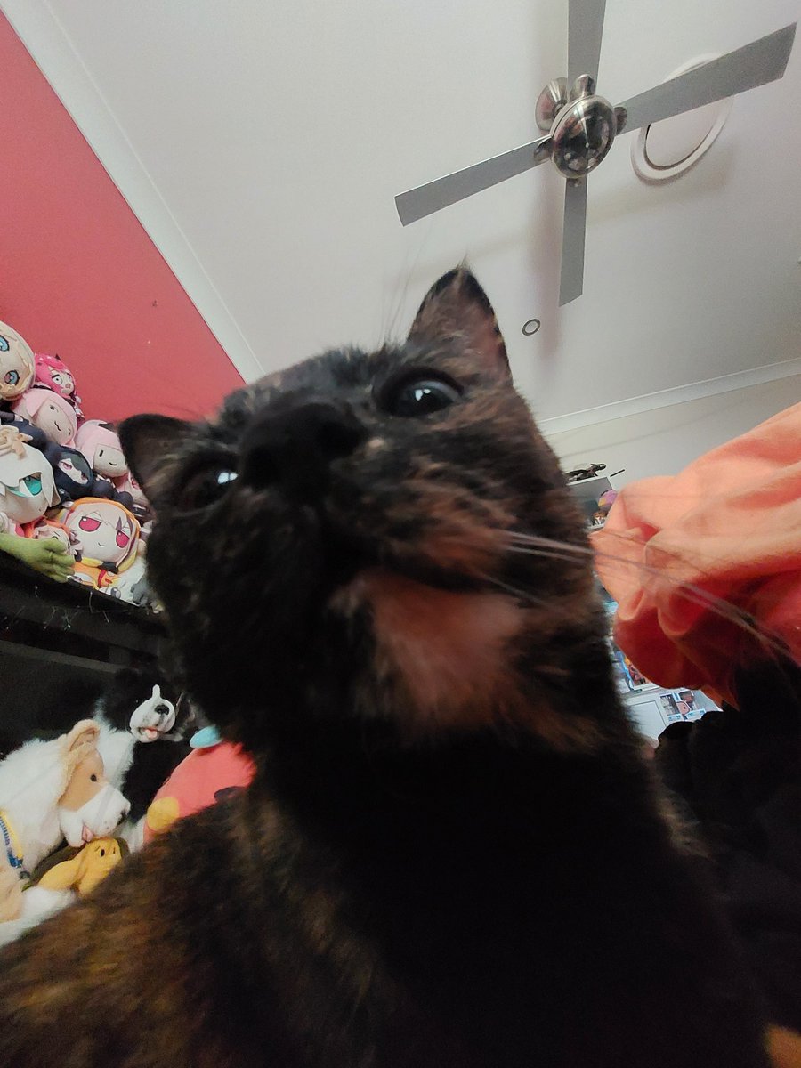 chewbers's tweet image. she is an alien or perhaps a bug