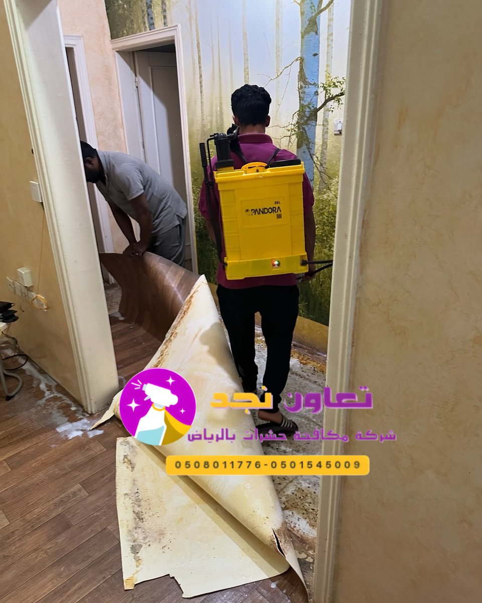 nagd_cleaning1's tweet image. ❓ هل مكافحة الحشرات تحتاج أكثر من زيارة؟
✅ حسب الحالة، أحيانًا زيارة واحدة تكفي، وأحيانًا برنامج دوري 

#Pest_control
#شركة_مكافحة_حشرات_بالرياض

🧤شركة تنظيف بالرياض إنستقرام&quot;

instagram.com/cleaningcompan…

 #الوعد_الجوهره_الاربعاء
#اجواء_الشتاء