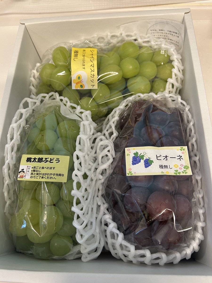madamu147's tweet photo. 岡山からブドウ🍇が届きました。旨い！甘い！美味しい！幸せ！お裾分け少し、お隣さんと兄の所へ。やっぱりシャインマスカットかなぁ🍇 https://t.co/FJ8iLJtkc8