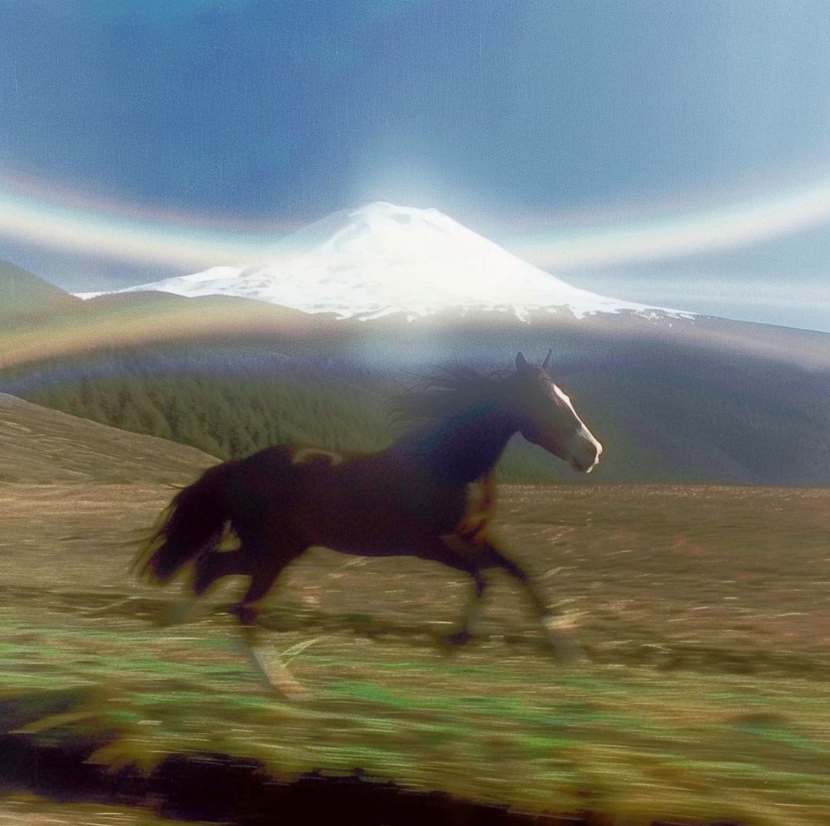 mahmoodbase's tweet image. 🐎 $HORSE — the meme that Zora’s founders birthed 💥
Not just another coin this is Zora culture in token form.real community energy, and founders with serious Web3 roots.Everyone’s sleeping on it now... until Zora wakes the herd 🐎🚀
#HORSE #Zora @js_horne
@jessepollak