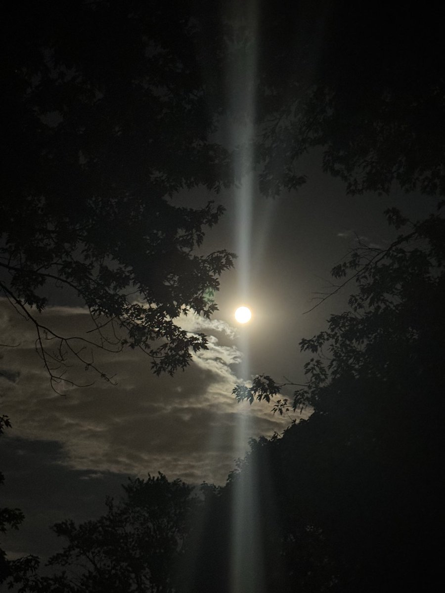 UpsAir42's tweet photo. Harvest Moon 🌕 https://t.co/YQWhJwUkhT
